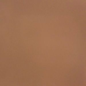 Meet your Posher, Cailey